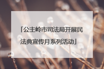 公主岭市司法局开展民法典宣传月系列活动