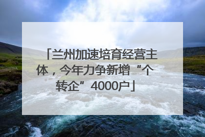 兰州加速培育经营主体，今年力争新增“个转企”4000户