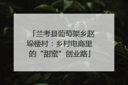 兰考县葡萄架乡赵垛楼村：乡村电商里的“甜蜜”创业路