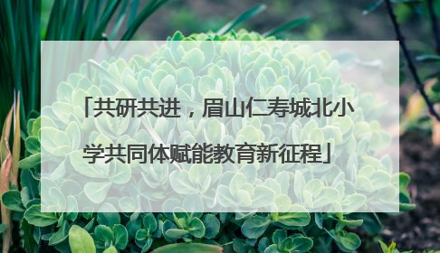 共研共进，眉山仁寿城北小学共同体赋能教育新征程