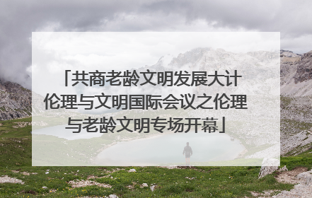 共商老龄文明发展大计 伦理与文明国际会议之伦理与老龄文明专场开幕