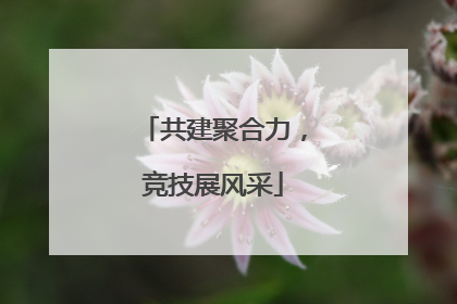 共建聚合力，竞技展风采