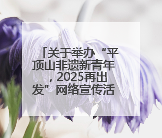 关于举办“平顶山非遗新青年，2025再出发”网络宣传活动的公告