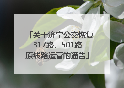 关于济宁公交恢复317路、501路原线路运营的通告