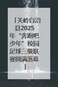 关岭自治县2025年“奔跑吧少年”校园足球三级联赛圆满落幕