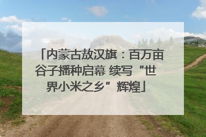 内蒙古敖汉旗：百万亩谷子播种启幕 续写“世界小米之乡”辉煌
