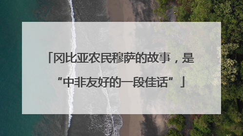 冈比亚农民穆萨的故事，是“中非友好的一段佳话”