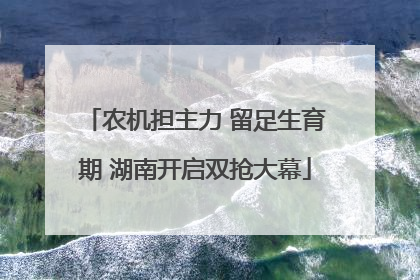 农机担主力 留足生育期 湖南开启双抢大幕