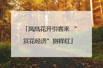 凤凰花开引客来 “赏花经济”别样红