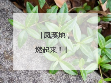 凤溪地，燃起来！