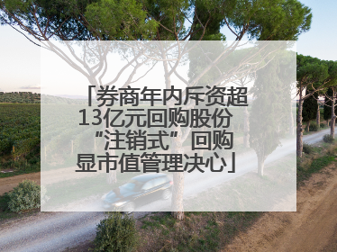 券商年内斥资超13亿元回购股份 “注销式”回购显市值管理决心
