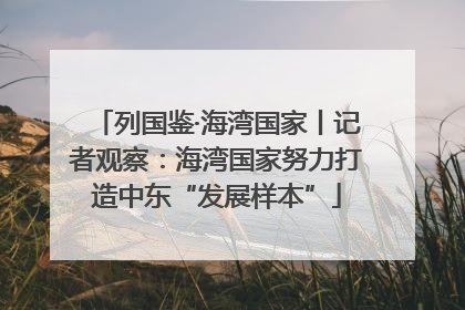 列国鉴·海湾国家丨记者观察：海湾国家努力打造中东“发展样本”