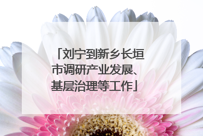 刘宁到新乡长垣市调研产业发展、基层治理等工作