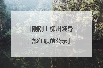 刚刚！柳州领导干部任职前公示