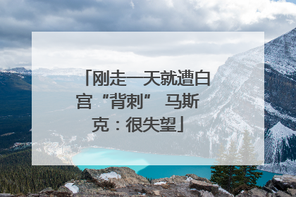 刚走一天就遭白宫“背刺” 马斯克：很失望