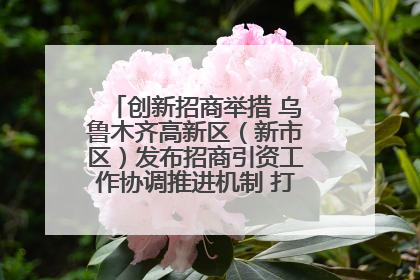 创新招商举措 乌鲁木齐高新区（新市区）发布招商引资工作协调推进机制 打造投资发展新高地