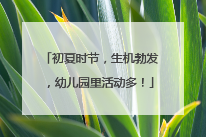 初夏时节，生机勃发，幼儿园里活动多！