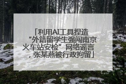 利用AI工具捏造 “外籍留学生强闯南京火车站安检”网络谣言，张某燕被行政拘留