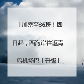 加密至36班！即日起，西海岸往返青岛机场巴士升级