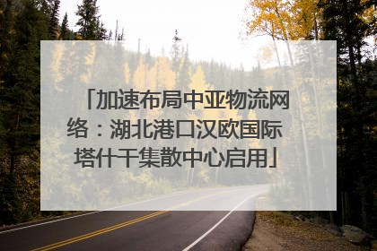 加速布局中亚物流网络：湖北港口汉欧国际塔什干集散中心启用