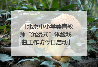 北京中小学美育教师“沉浸式”体验戏曲工作坊今日启动