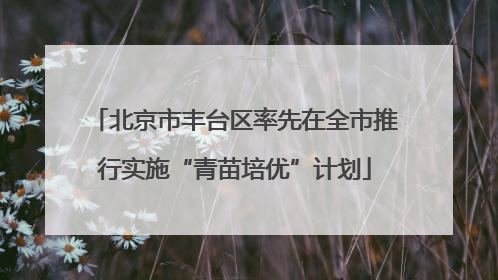 北京市丰台区率先在全市推行实施“青苗培优”计划