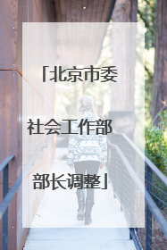 北京市委社会工作部部长调整