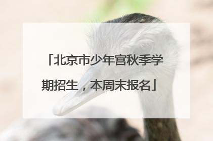 北京市少年宫秋季学期招生，本周末报名