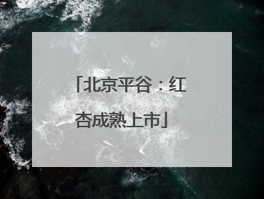 北京平谷：红杏成熟上市