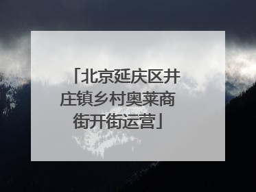 北京延庆区井庄镇乡村奥莱商街开街运营