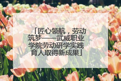 匠心领航，劳动筑梦——武威职业学院劳动研学实践育人取得新成果