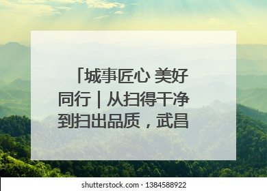 城事匠心 美好同行｜从扫得干净到扫出品质，武昌临江大道“洗”出洁净样板路