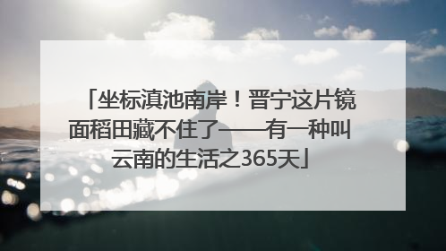 坐标滇池南岸！晋宁这片镜面稻田藏不住了——有一种叫云南的生活之365天