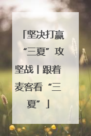 坚决打赢“三夏”攻坚战丨跟着麦客看“三夏”