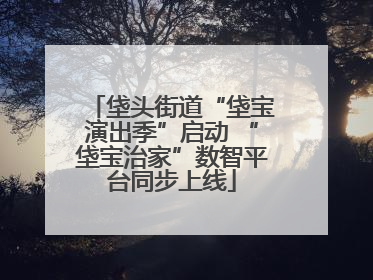 垡头街道“垡宝演出季”启动 “垡宝治家”数智平台同步上线