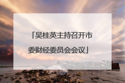 吴桂英主持召开市委财经委员会会议
