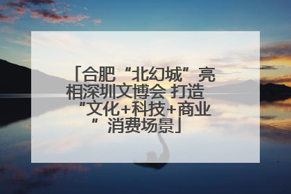 合肥“北幻城”亮相深圳文博会 打造“文化+科技+商业”消费场景