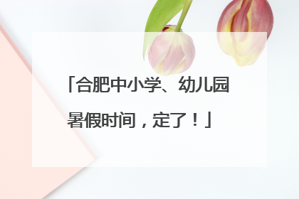 合肥中小学、幼儿园暑假时间，定了！