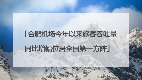合肥机场今年以来旅客吞吐量同比增幅位居全国第一方阵