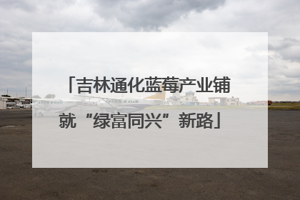 吉林通化蓝莓产业铺就“绿富同兴”新路