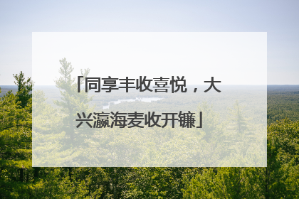 同享丰收喜悦，大兴瀛海麦收开镰