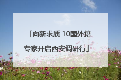 向新求质 10国外籍专家开启西安调研行