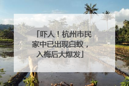 吓人！杭州市民家中已出现白蚁，入梅后大爆发
