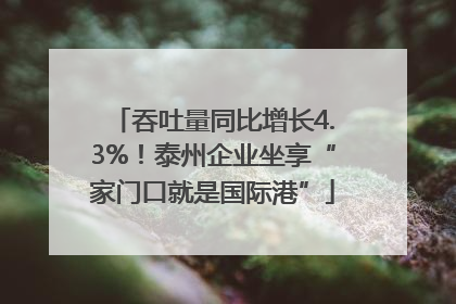 吞吐量同比增长4.3%！泰州企业坐享“家门口就是国际港”