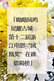 呦呦凤鸣星耀古城 第十二届浙江电影“凤凰奖”在建德揭榜