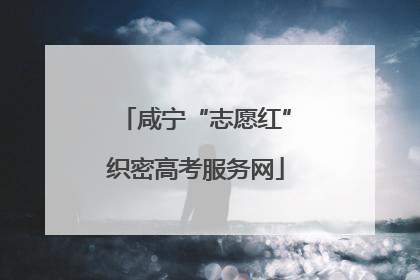 咸宁“志愿红”织密高考服务网