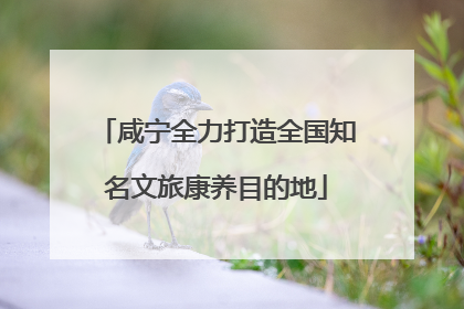 咸宁全力打造全国知名文旅康养目的地