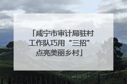 咸宁市审计局驻村工作队巧用“三招”点亮美丽乡村