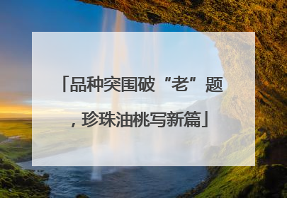 品种突围破“老”题，珍珠油桃写新篇