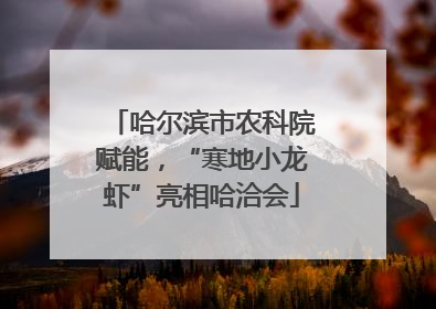 哈尔滨市农科院赋能，“寒地小龙虾”亮相哈洽会
